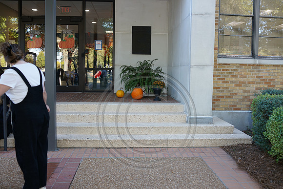 DSC03178