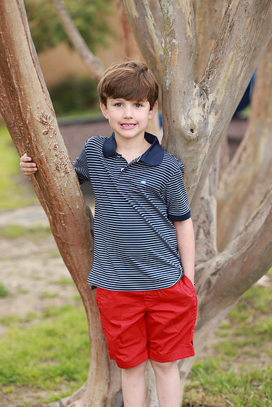 HCS_2377
