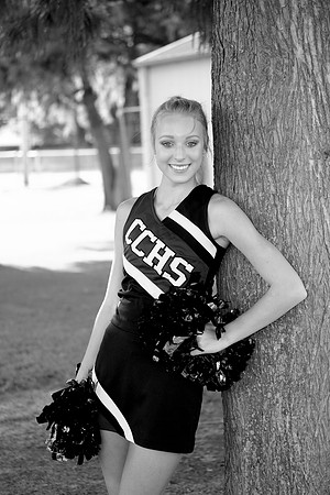 CCHS0198