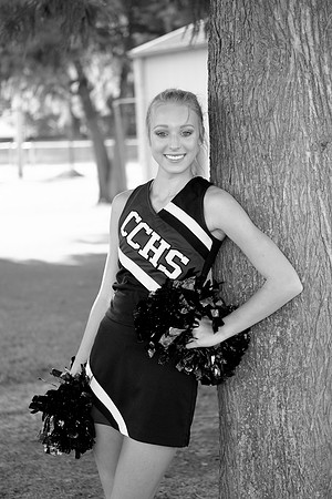 CCHS0199