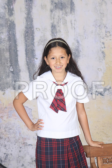 HCS_0515