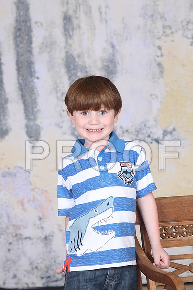 HCS_0537