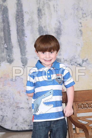 HCS_0536
