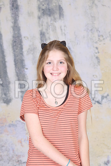 HCS_0334