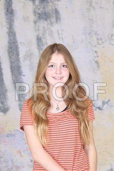 HCS_0335