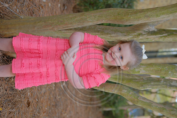 CBAI0391
