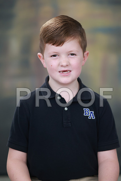 SDY_0355