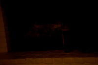 P26_0001