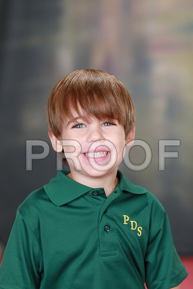 PDS_0011