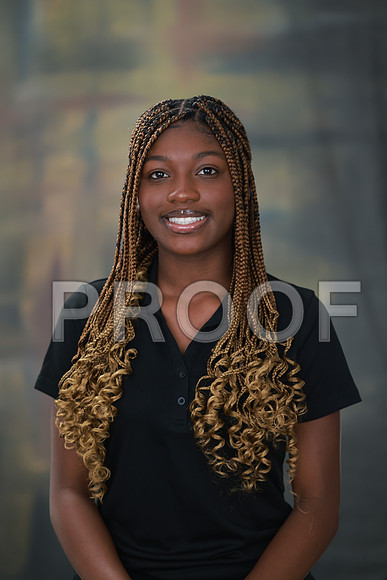 SDY_0176