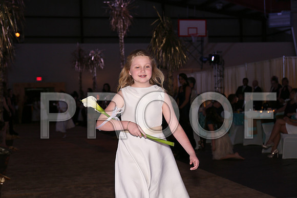 IMG_1842