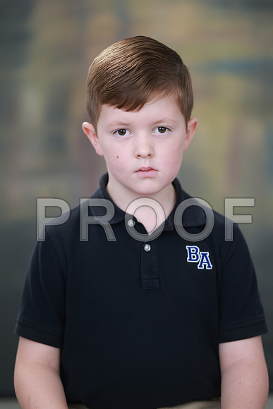 SDY_0353