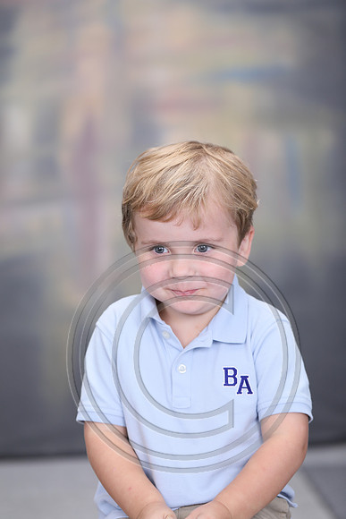 BAS_0011