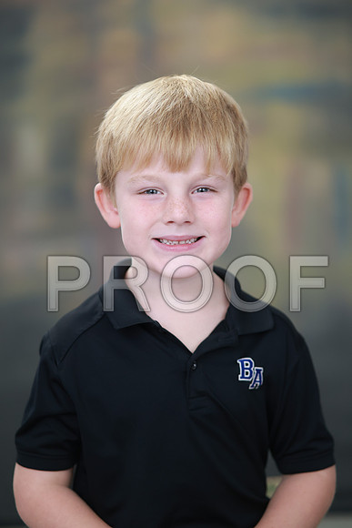 SDY_0347