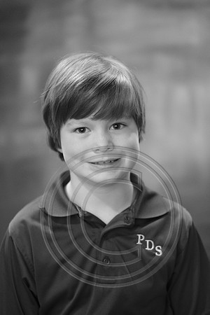 PDSZ0172