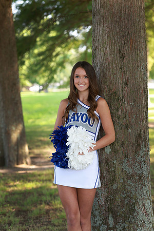 BAC_0812 SPLITrt