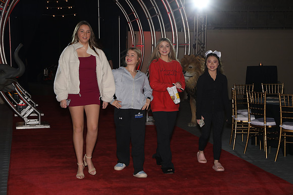 BAL_2019